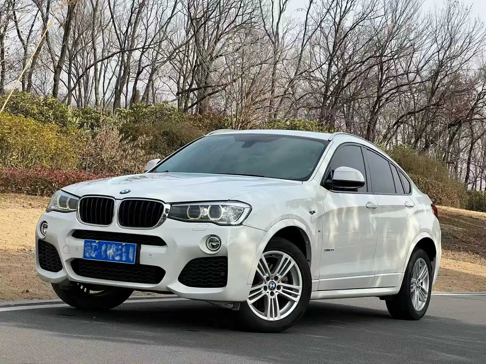 صورة 1 - BMW X4