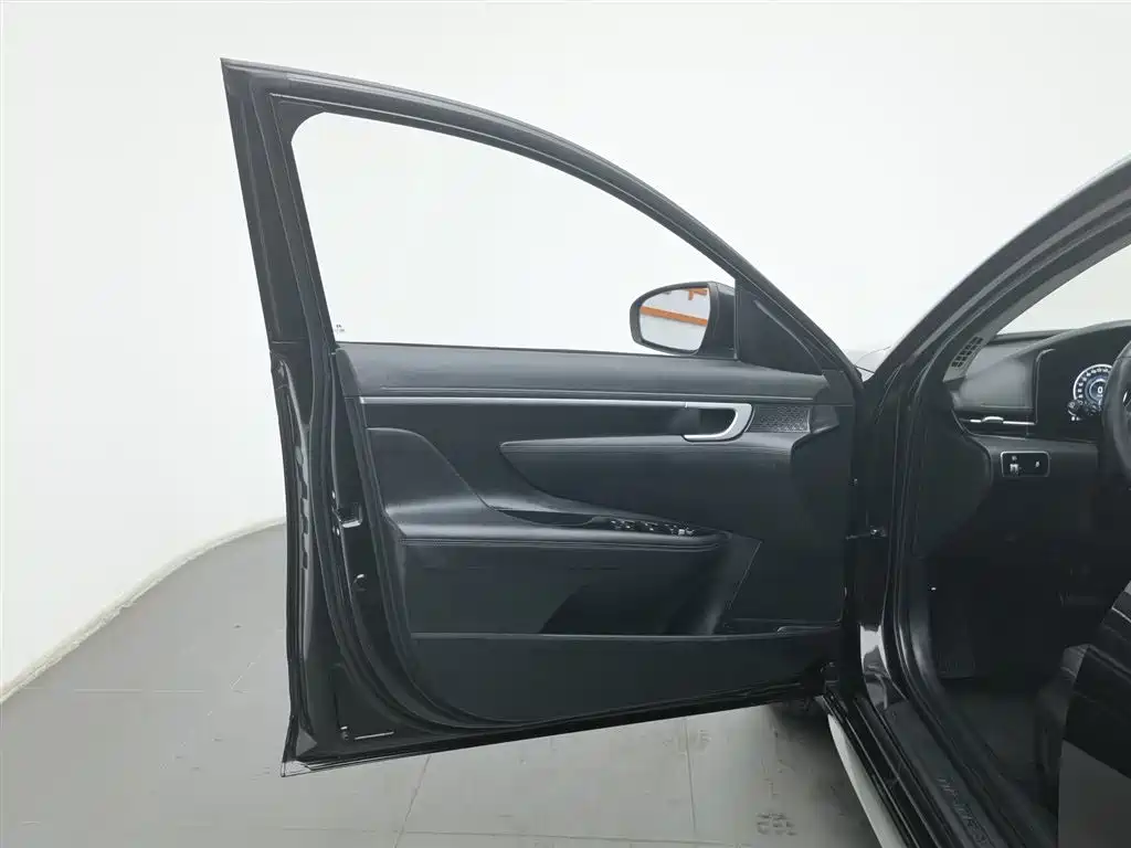 HYUNDAI NAME PICTURE