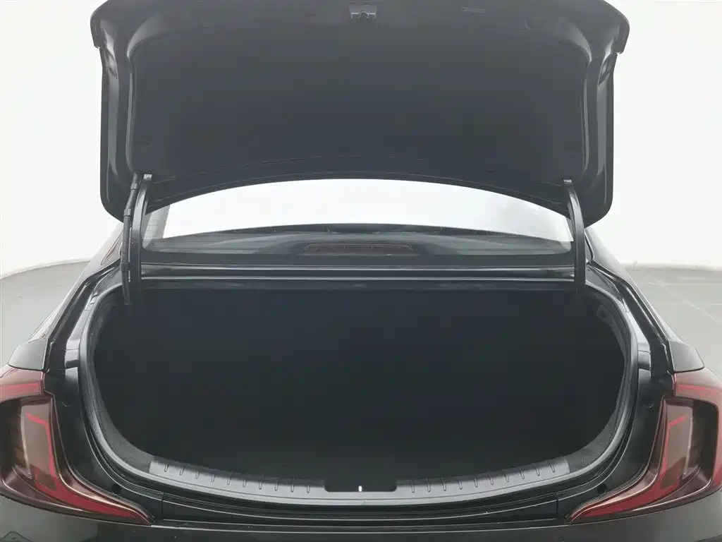 HYUNDAI NAME PICTURE