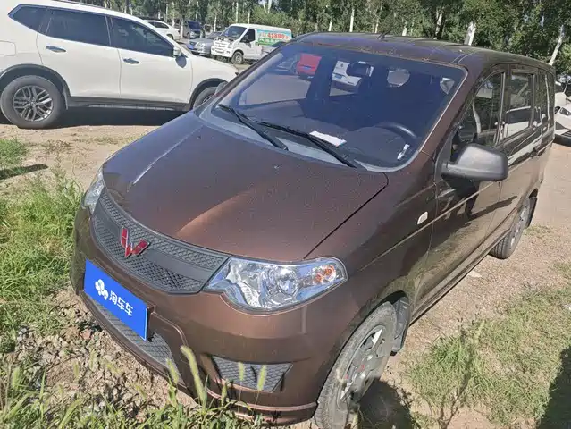 Wuling Motors Wuling Hongguang 2024