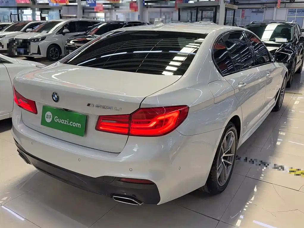 BMW 5 Series 2019 525Li M Sport Package фото 11