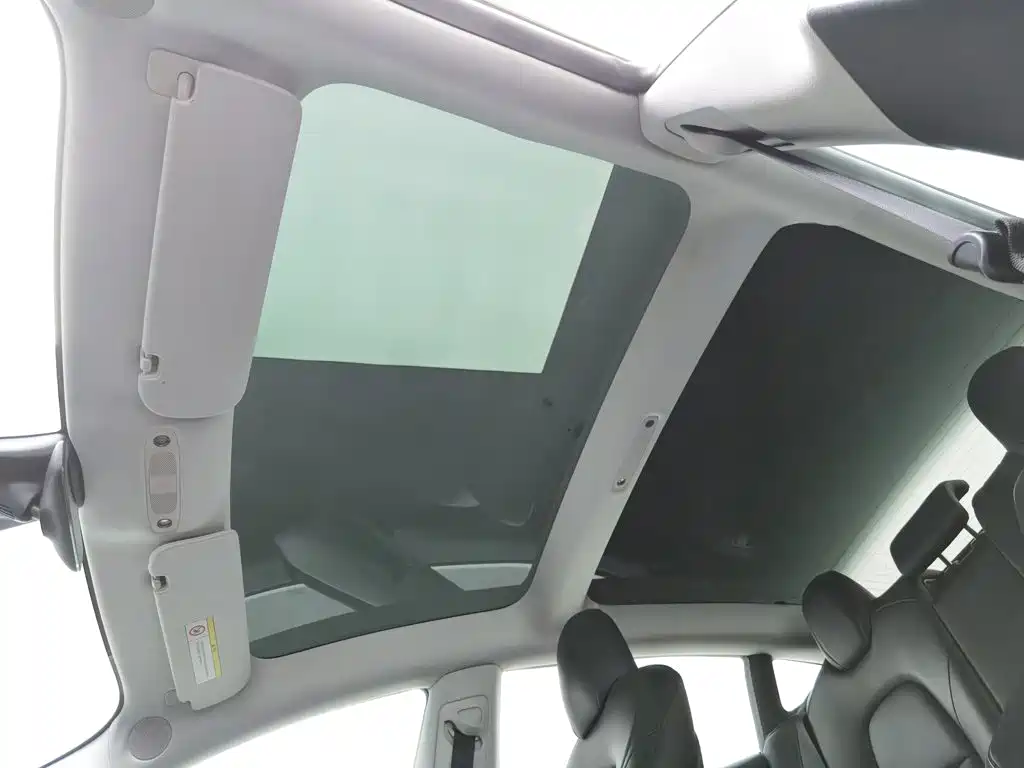 Tesla Model 3 2020 2019 Standard Range Rear-Wheel Drive Upgrade
