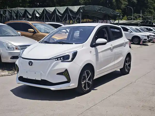  Changan Changan Benben E-Star 2020 Model Happy Edition (LFP 31.18kWh)