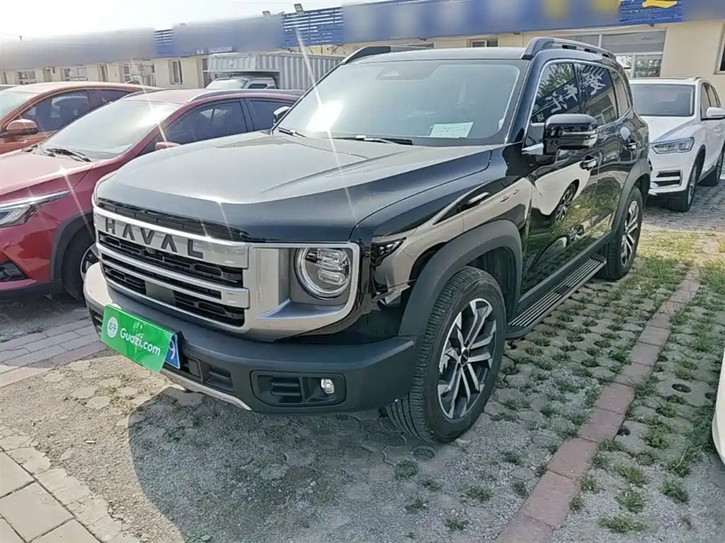 Haval Big Dog 2024 1.5T DCT Border Collie Edition