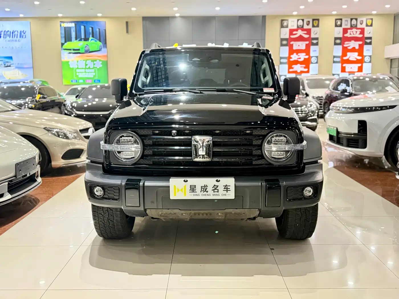 Tank 300 2023 Off-Road Edition 2.0T Conqueror фото 3