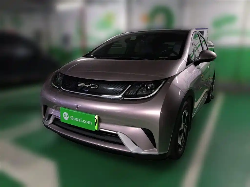 BYD Dolphin 2021 Model 405km Fashion Edition фото 2
