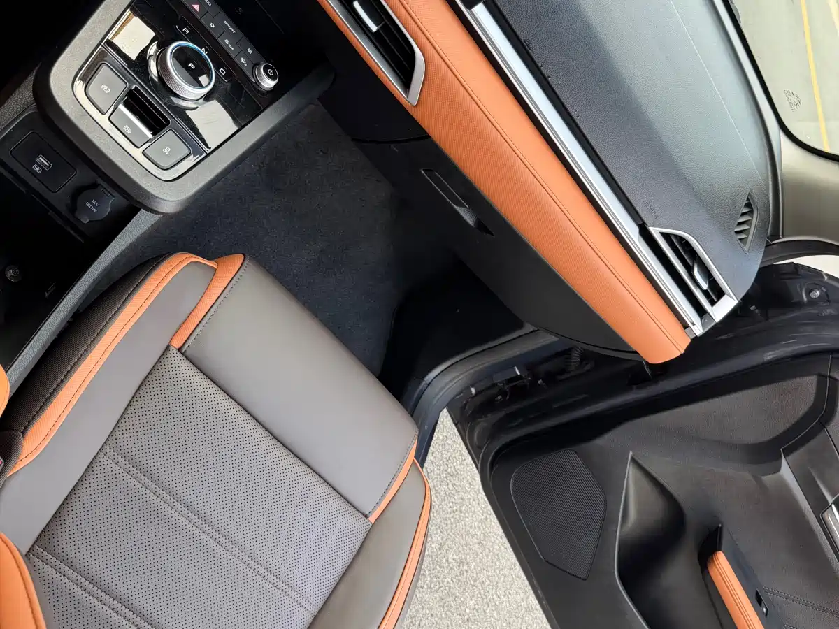 BYD e2 2021 Luxury Edition фото 29
