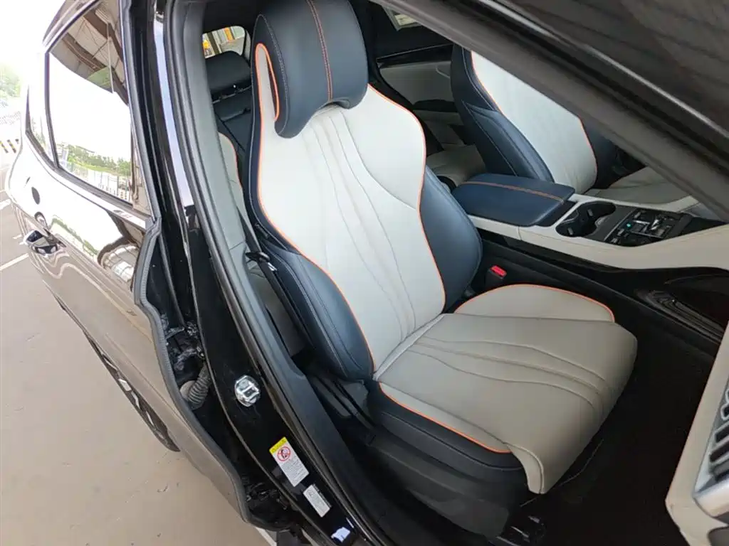 BYD Song PLUS PHEV 2023 Champion Edition EV 520KM Luxury фото 25