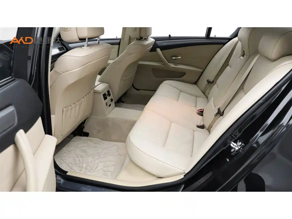 BMW 5 Series 2009 520Li Premium фото 7