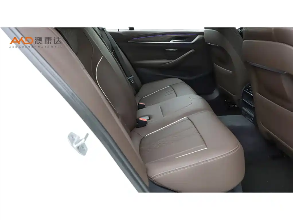 BMW 5 Series 2021 530Li Leading Luxury Package фото 8