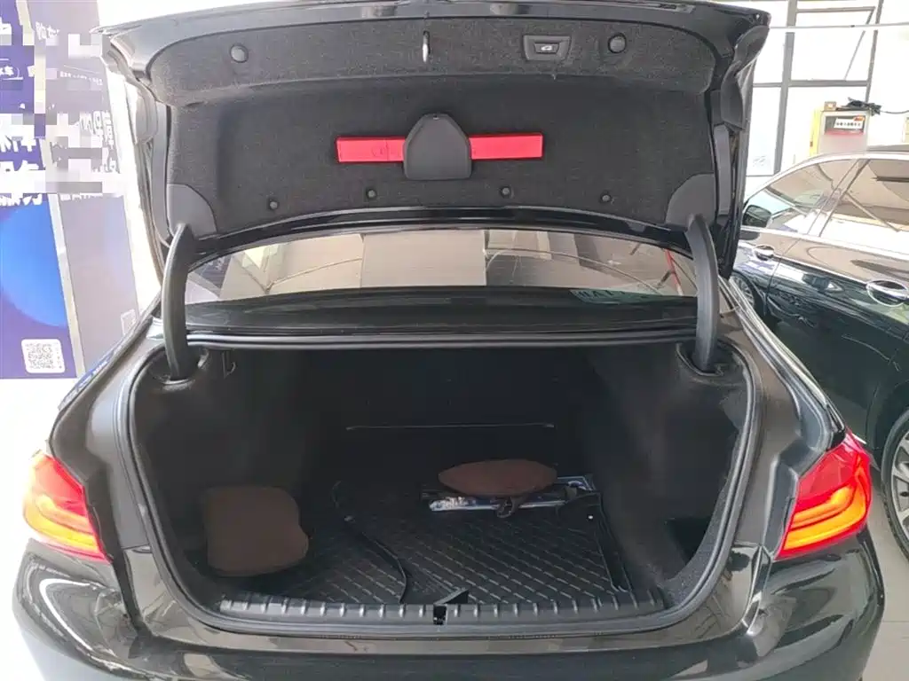 BMW 5 Series 2020 530Li Leading Luxury Package фото 19