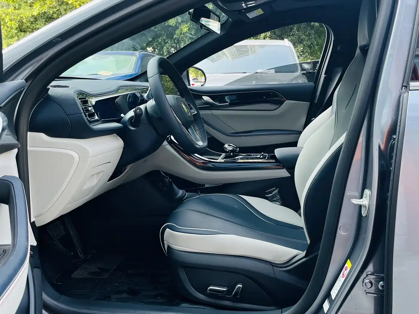 BYD Qin PLUS 2021 DM-i 55KM Premium фото 7