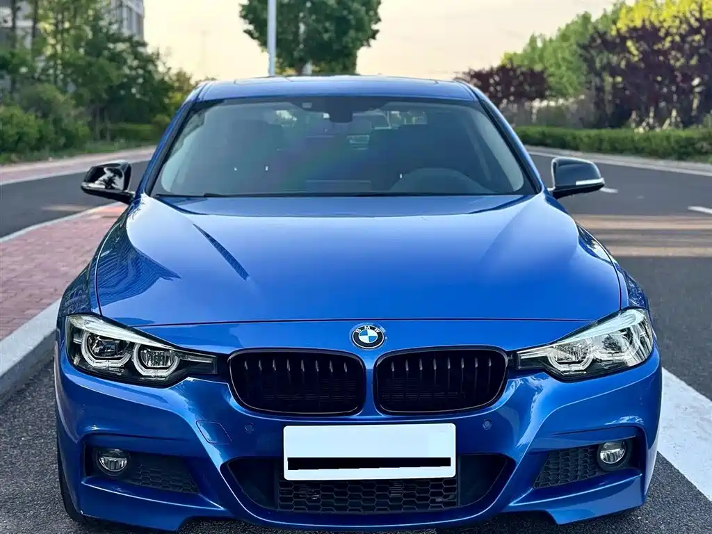 BMW 3 Series 2019 320Li M Sport Black Night Edition фото 5
