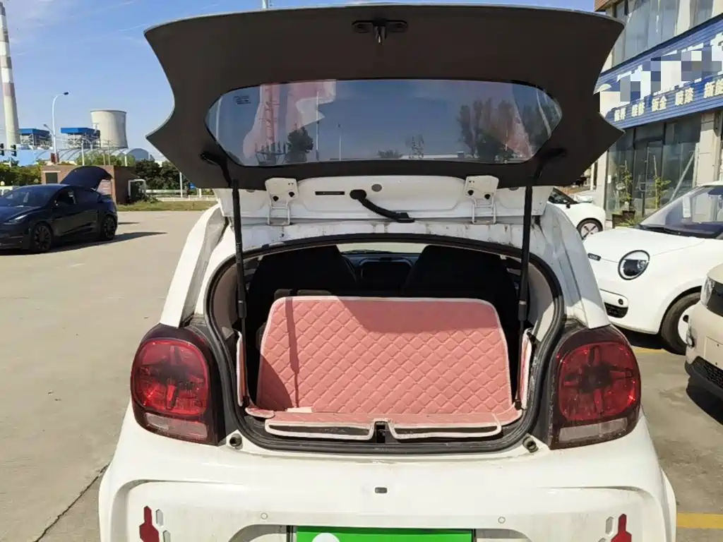 Roewe Clever 2023 2022 311km Vitality Bobo Edition