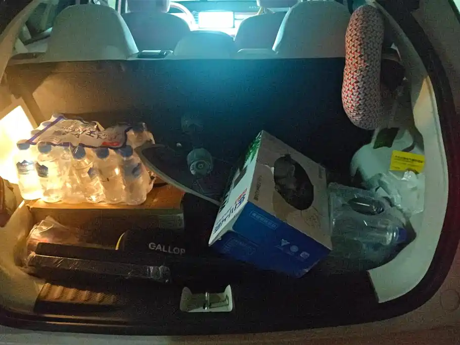 GEELY GEOMETRY E FIREFLY