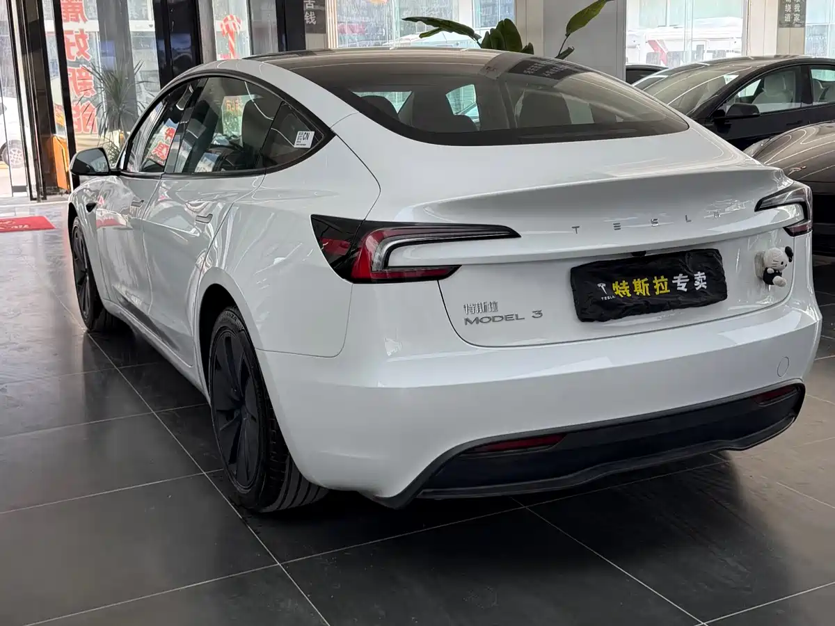 Tesla Model 3 2025 2025 Model Rear-Wheel Drive Edition