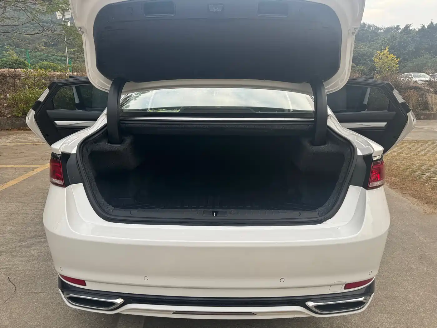 GEELY AUTOMOBILE BORUI