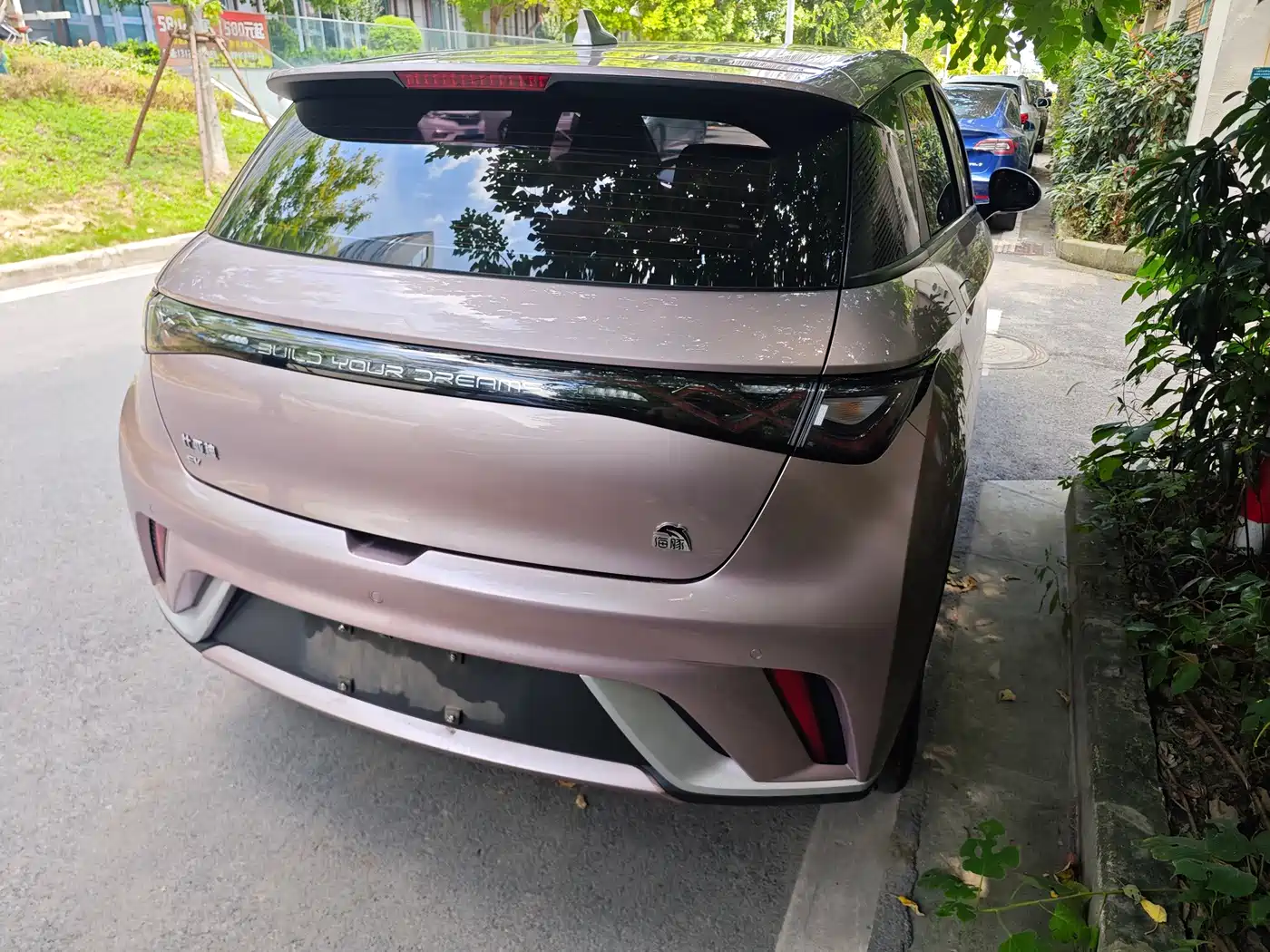 BYD Dolphin 2020 2021 Model 405km Fashion Edition