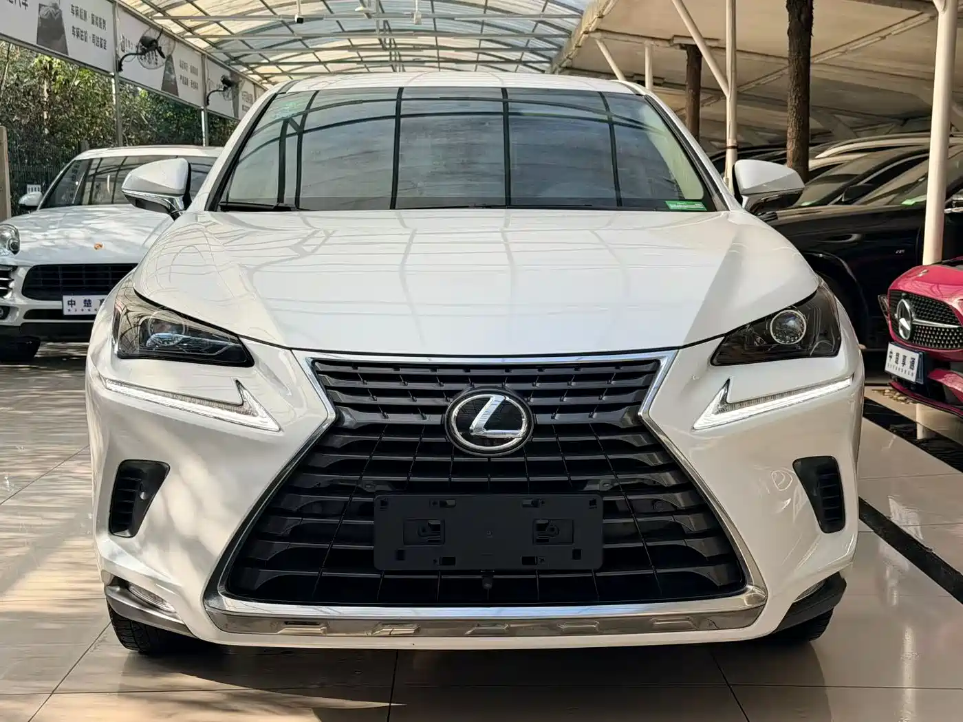 LEXUS NX