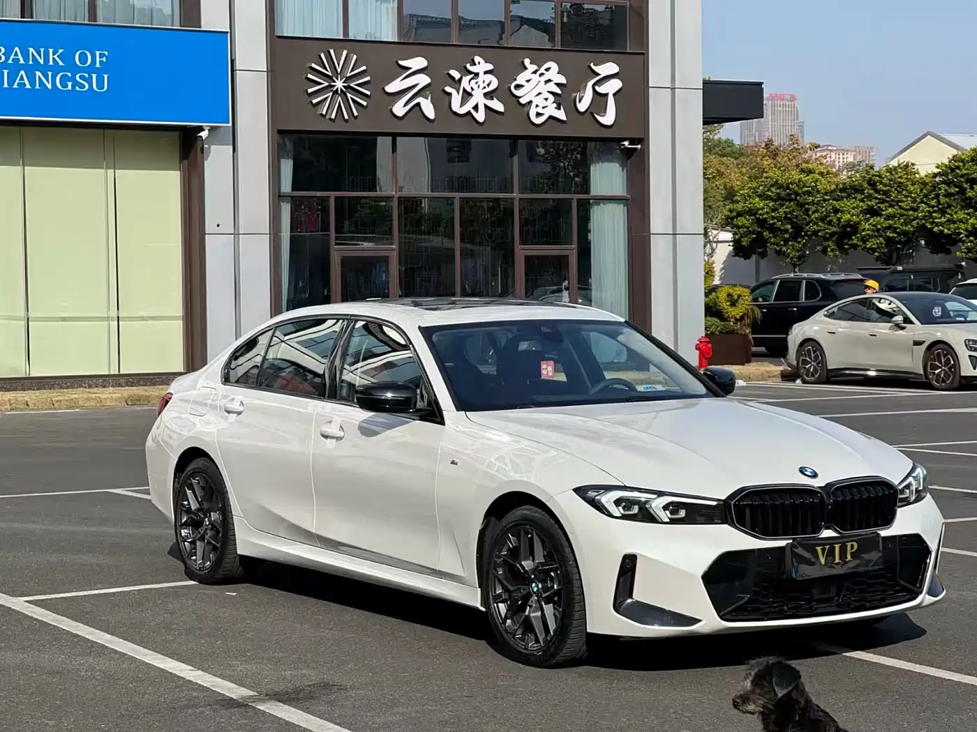 BMW 3 Series 2025 330Li M Sport Night Edition фото 3