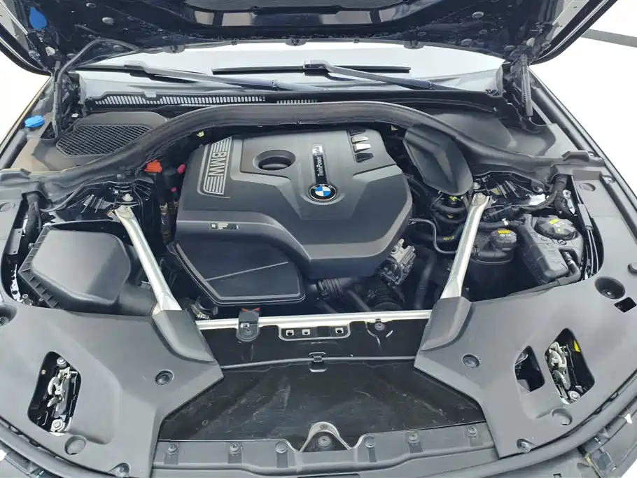 BMW 5 Series 2020 525Li Luxury Package фото 10