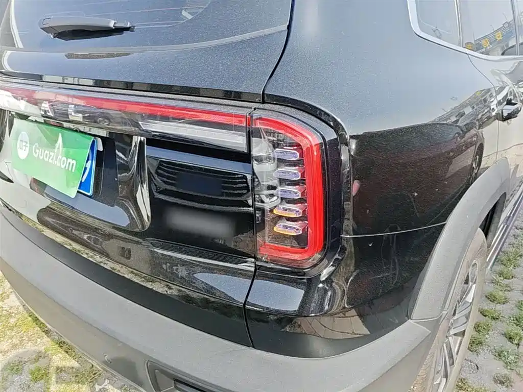 Haval Big Dog 2024 1.5T DCT Border Collie Edition фото 8