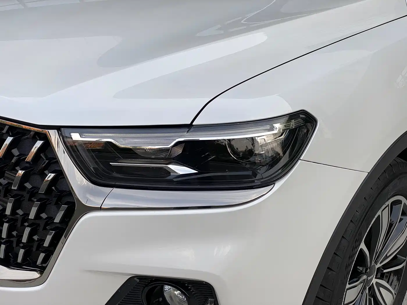 Haval H6 2023 National Trend Edition 1.5T Automatic Champion фото 12