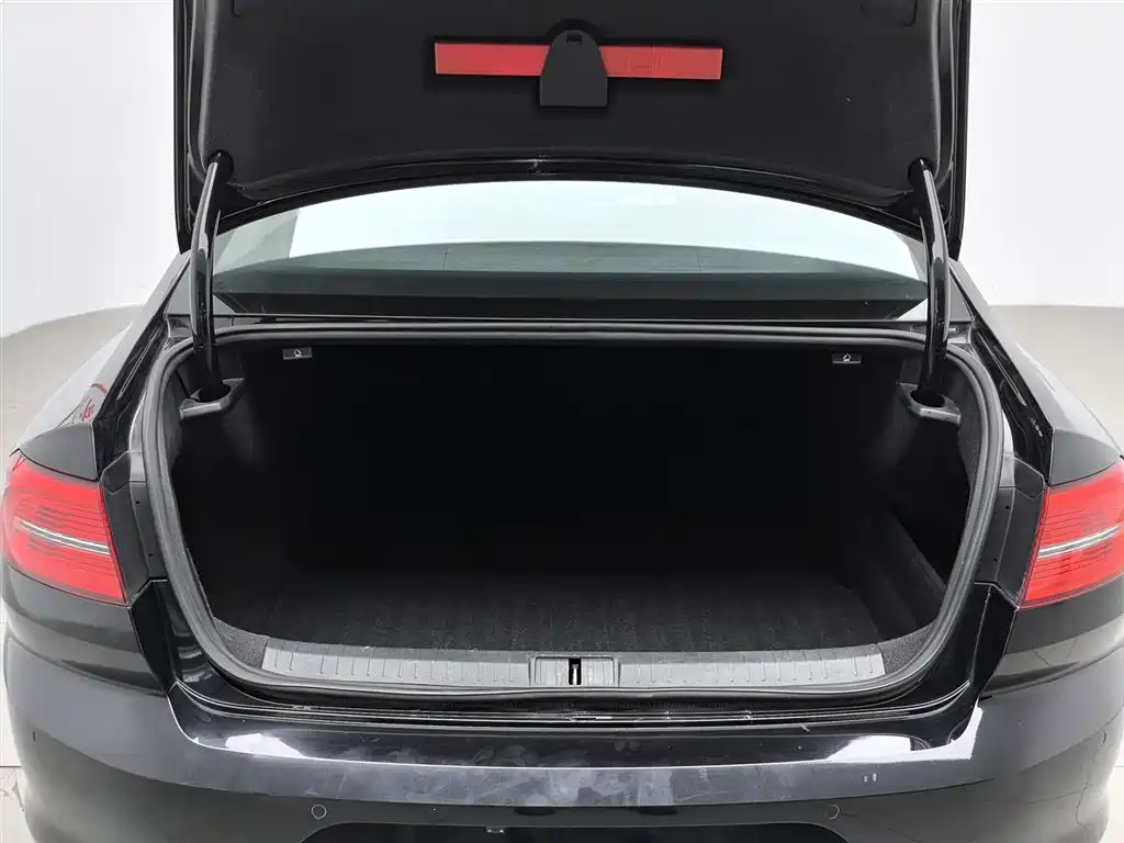 Volkswagen Magotan 2018 330TSI DSG Leading фото 16