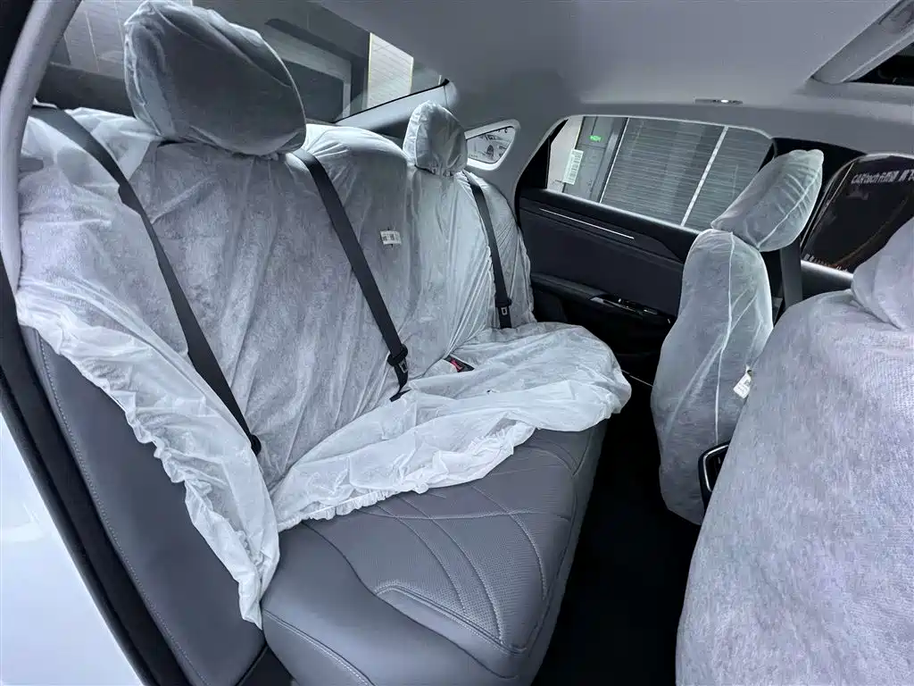 Geely Galaxy Galaxy L6 2025 EM-i 140km Explorer+ Edition фото 20