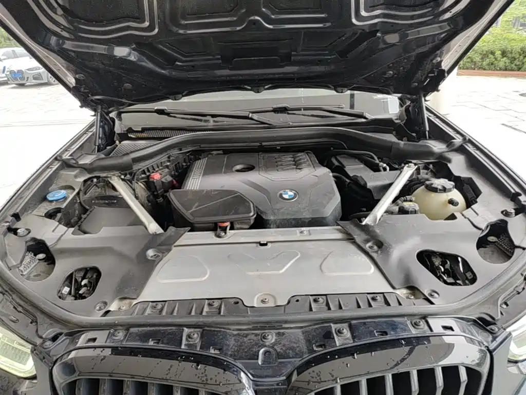 BMW X3 2022 xDrive30i Leading M Night Package фото 17