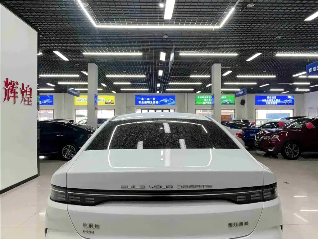BYD Destroyer 05 2024 Glory Edition DM-i 55KM Luxury фото 5