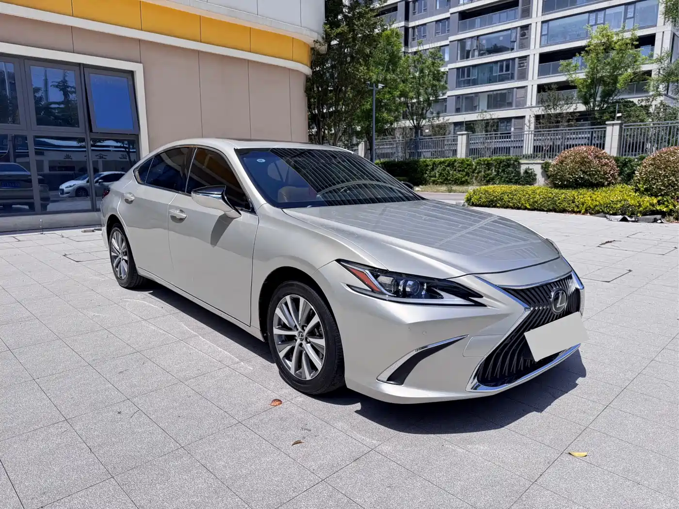 Lexus ES 2018 200 Excellence Edition China V