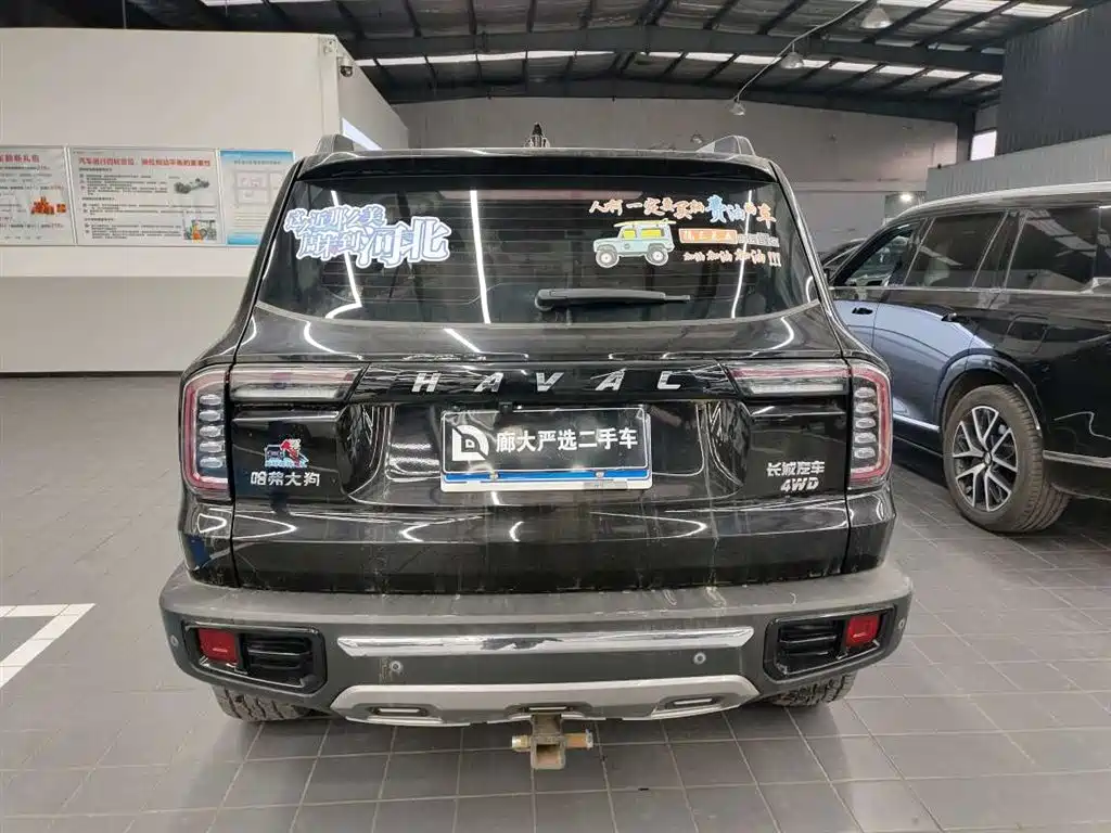 HAVAL BIG DOG