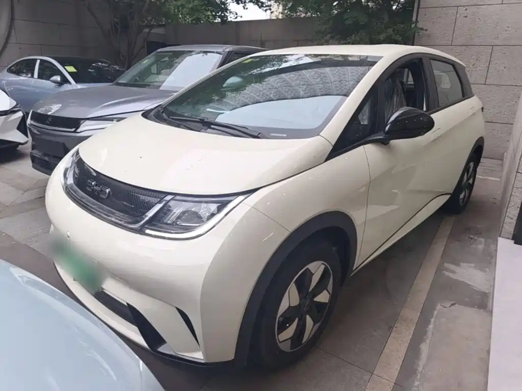 BYD Dolphin 2026 2025 420km Freedom Edition