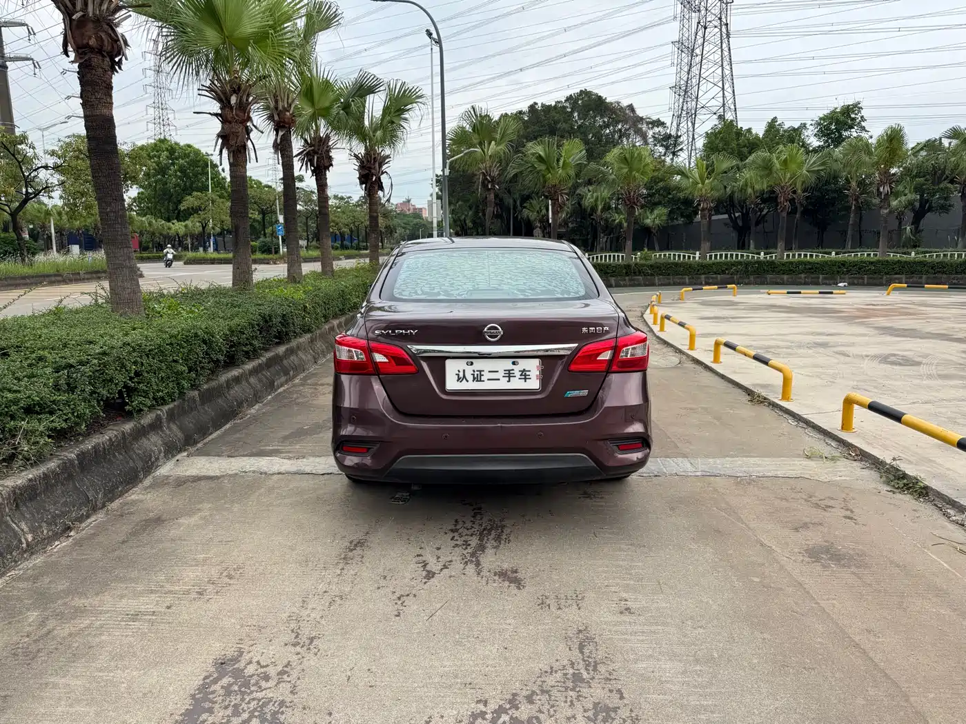 Фото 5 - Nissan Sylphy