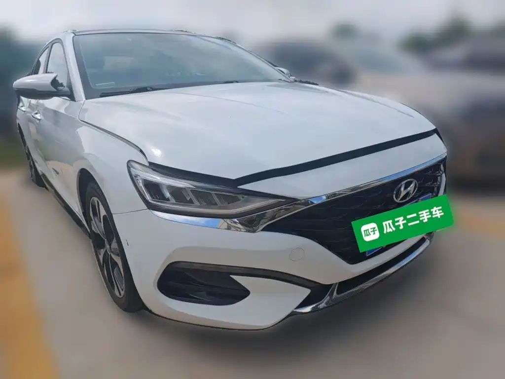 صورة 24 - Hyundai Lafesta