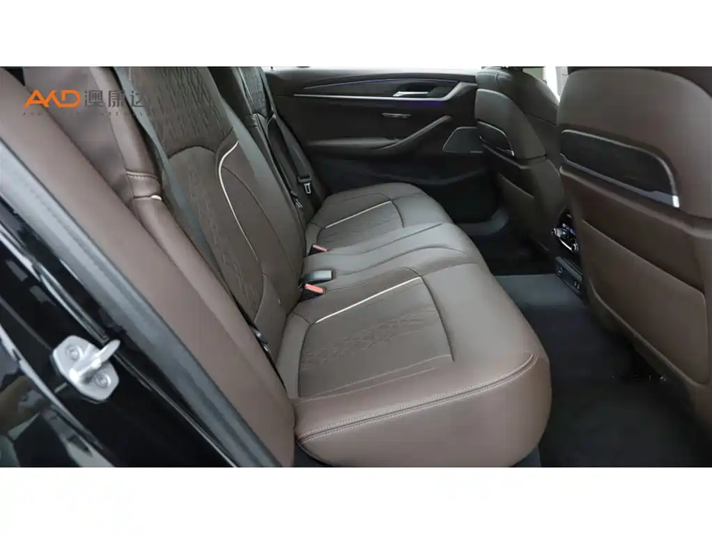 BMW 5 Series 2021 530Li Premium Luxury Package фото 8