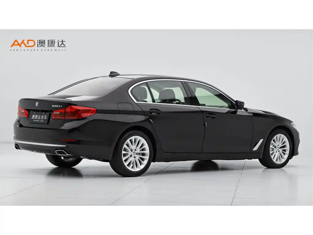 BMW 5 Series 2020 530Li Premium Luxury Package фото 3