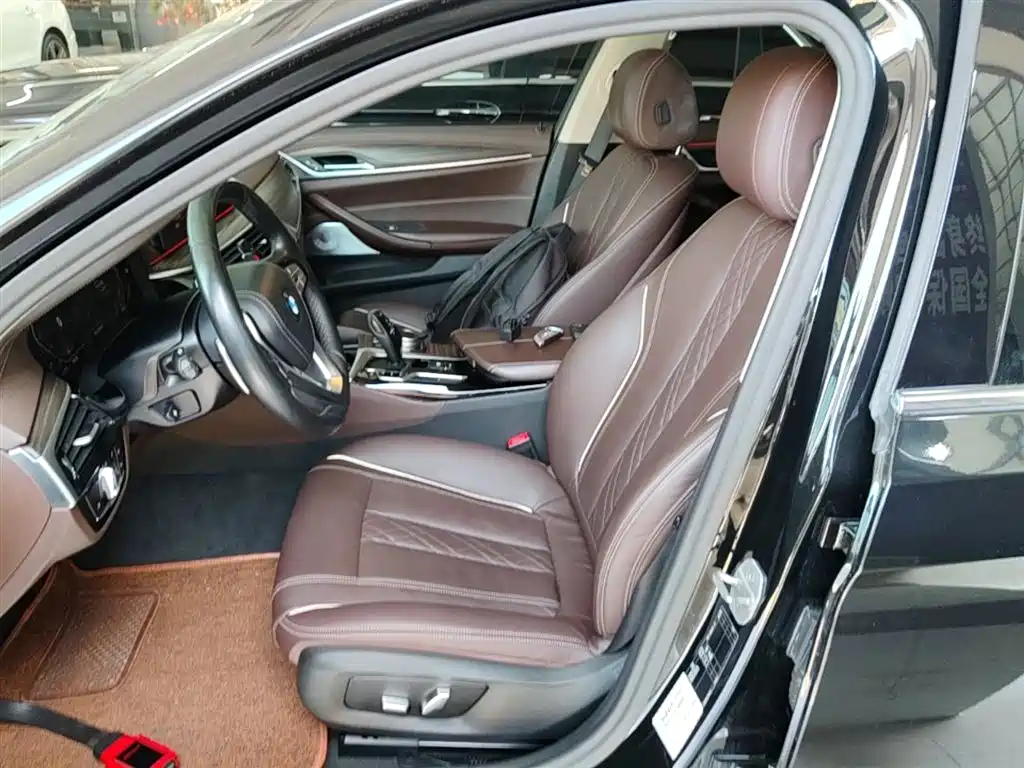 BMW 5 Series 2020 530Li Leading Luxury Package фото 15
