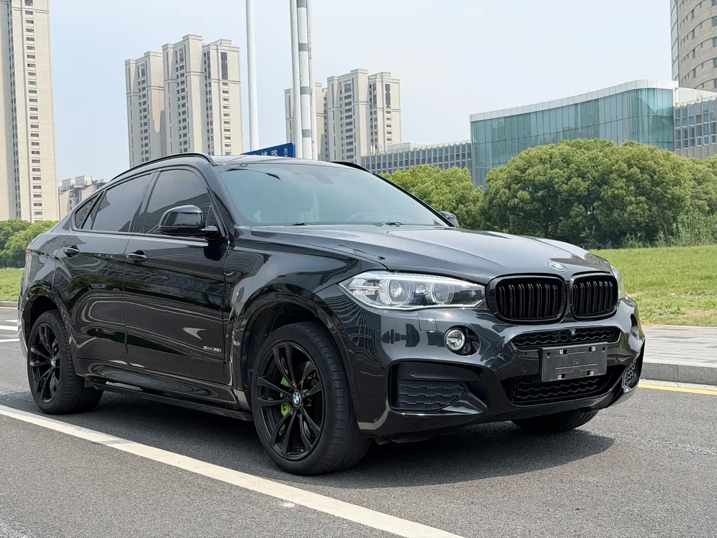 BMW X6 2018 xDrive35i Leading Model фото 4