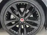 Фото 4 - Jaguar F-TYPE