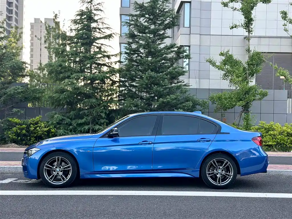 BMW 3 Series 2019 320Li M Sport Black Night Edition фото 2
