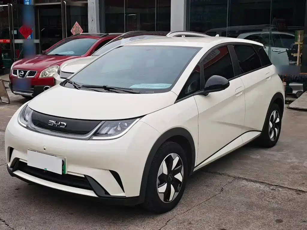 BYD Dolphin 2025 2025 420km Freedom Edition