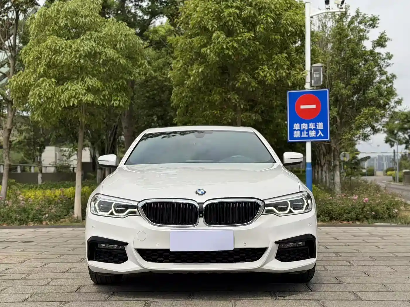 BMW 5 Series 2019 530Li Premium M Sport Package фото 2
