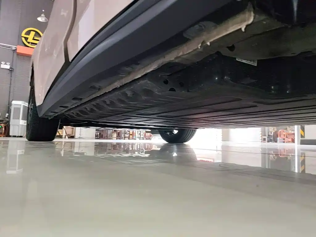 Ora Good Cat 2025 2024 401km Luxury