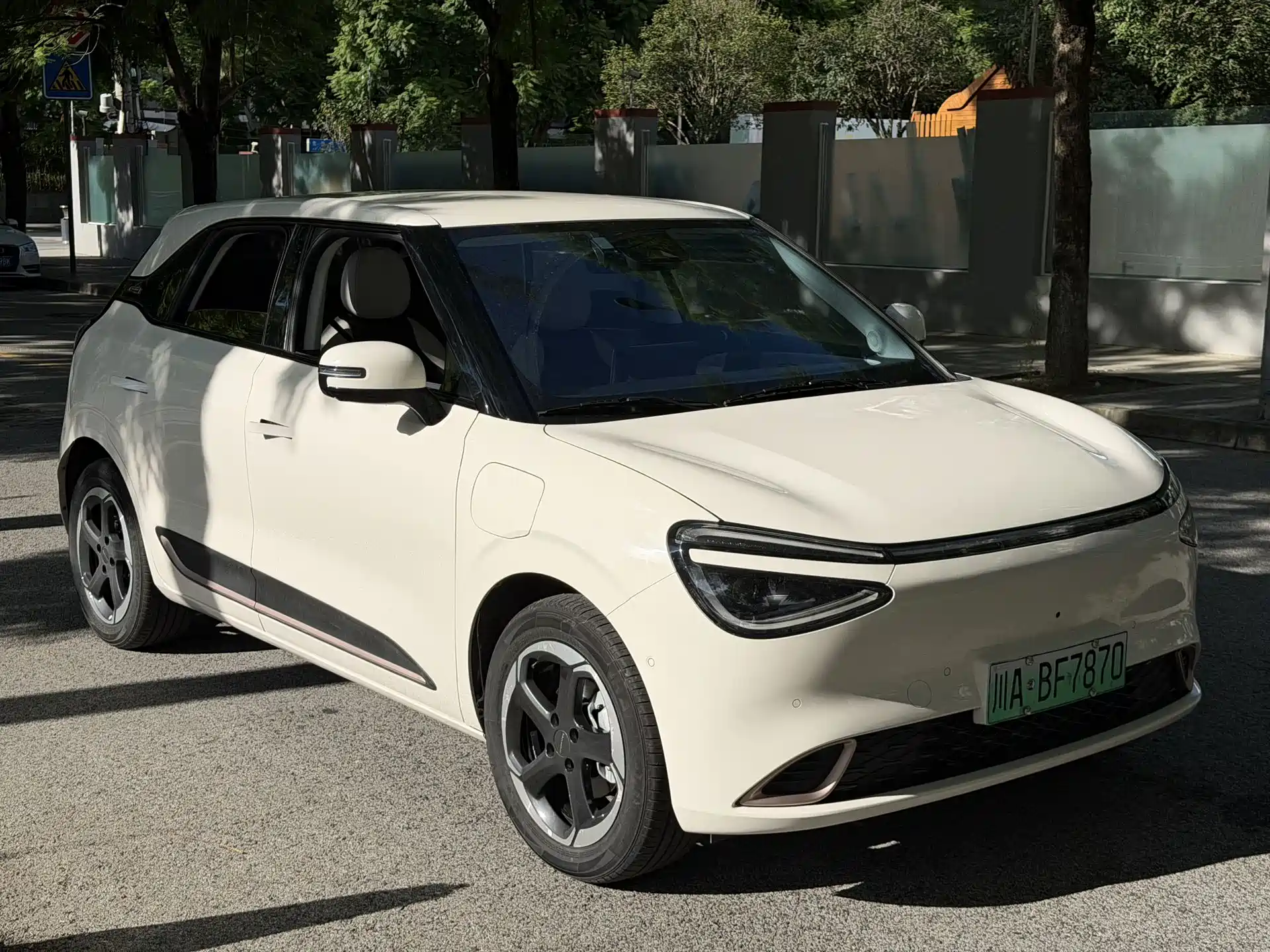 Фото 3 - Dongfeng Yipai Nano 01