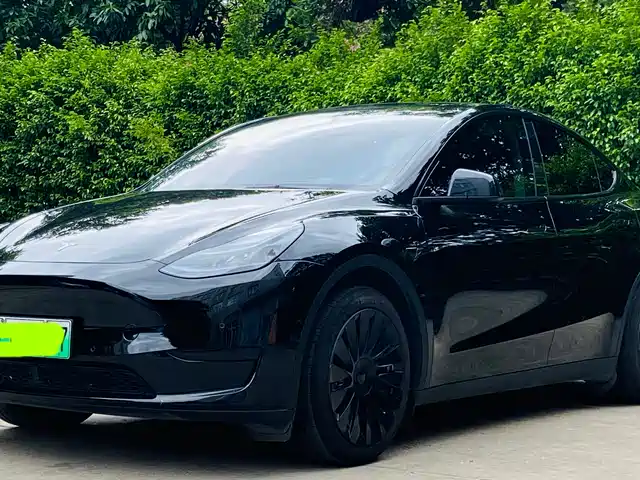Tesla Model Y 2022 Rear-Wheel Drive Version