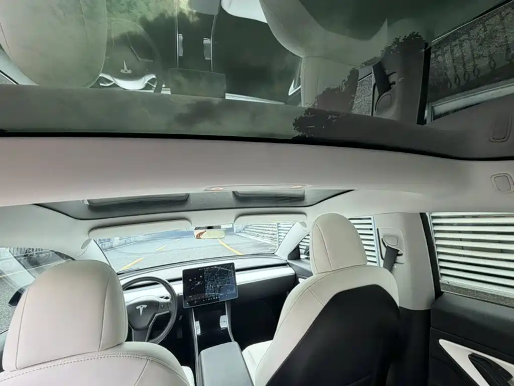 Tesla Model 3 (Import) 2019 2019 Long Range RWD Version
