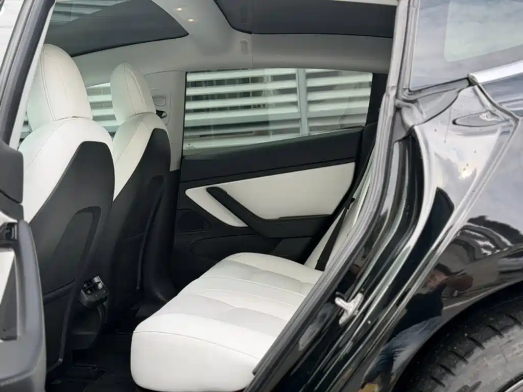Tesla Model 3 (Import) 2019 2019 Long Range RWD Version
