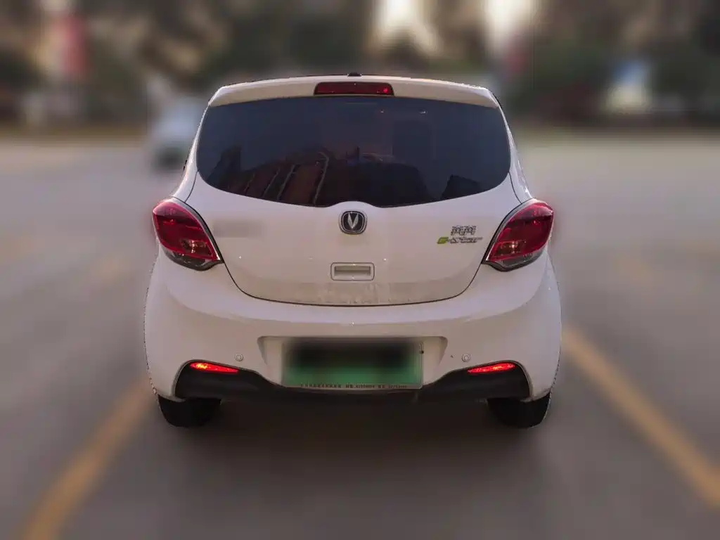 Фото 3 - Changan Benben E-Star